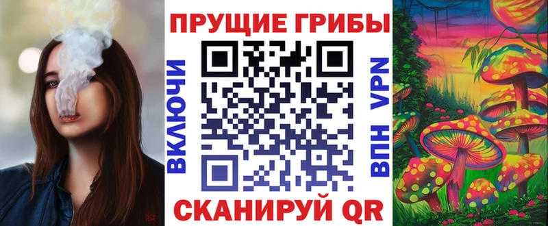 что такое   Заволжск  Псилоцибиновые грибы прущие грибы 