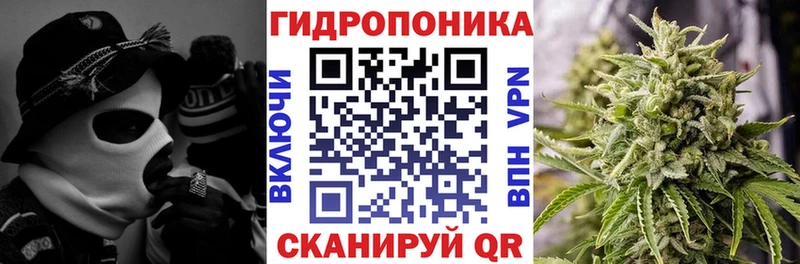 Бошки Шишки сатива  Заволжск 